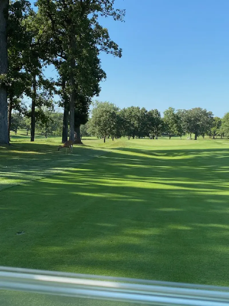 A deer on the fairway at Olympia Fields Country Club