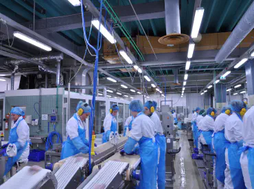 workers in a fish processing facility